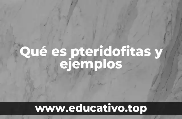 Qué es pteridofitas y ejemplos