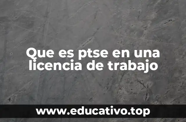 Que es ptse en una licencia de trabajo