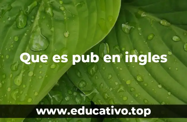 Que es pub en ingles
