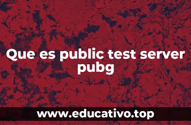 Que es public test server pubg
