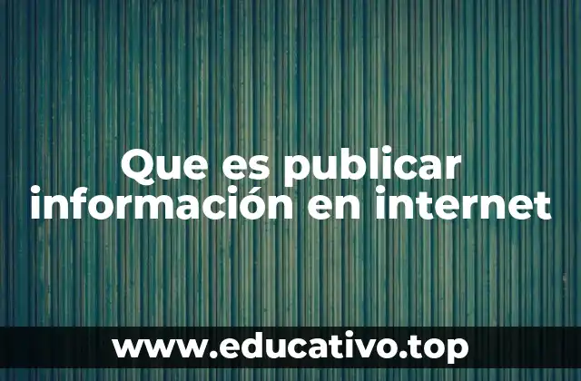 Que es publicar información en internet