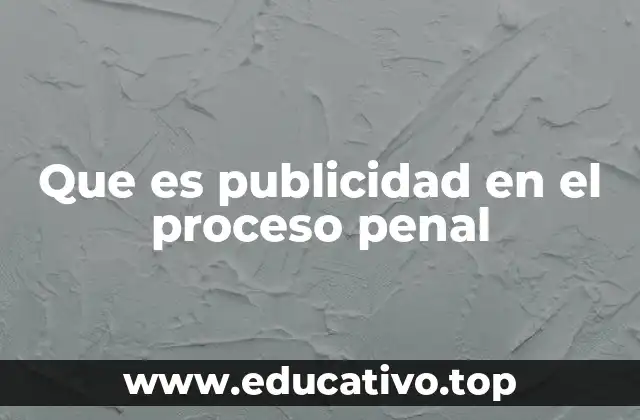 Que es publicidad en el proceso penal