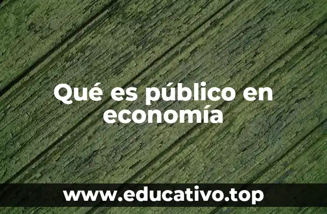 Qué es público en economía