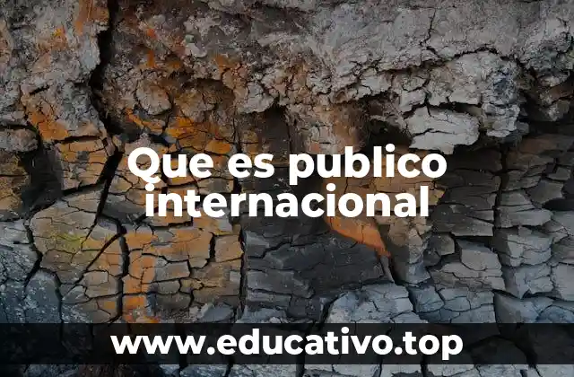 Que es publico internacional