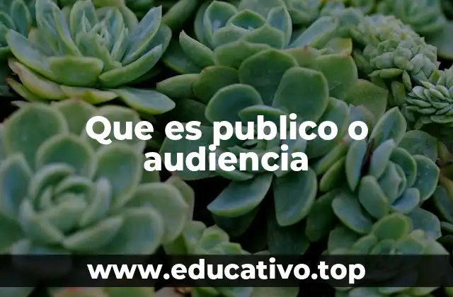 Que es publico o audiencia