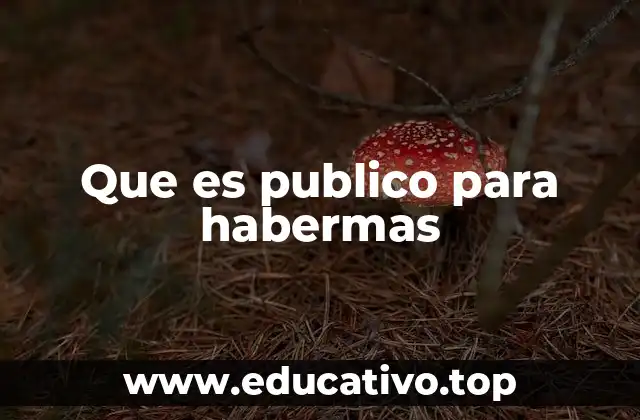 Que es publico para habermas