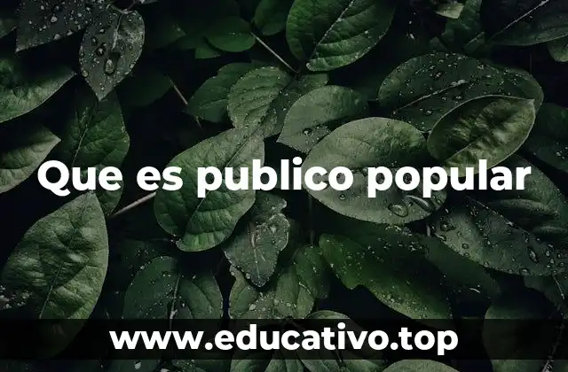 Que es publico popular