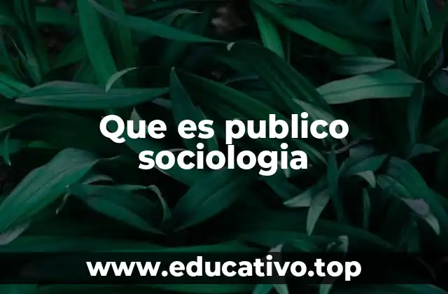 Que es publico sociologia