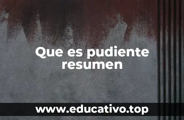 Que es pudiente resumen