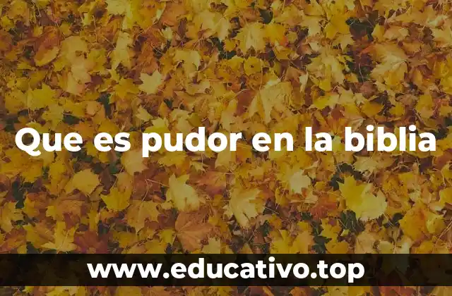 Que es pudor en la biblia