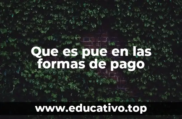 Que es pue en las formas de pago