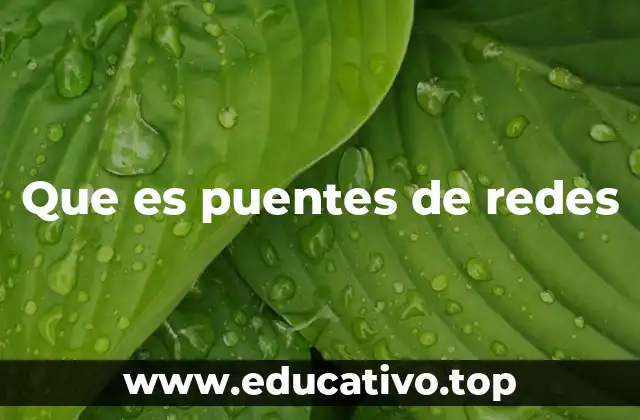 Que es puentes de redes