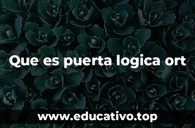 Que es puerta logica ort