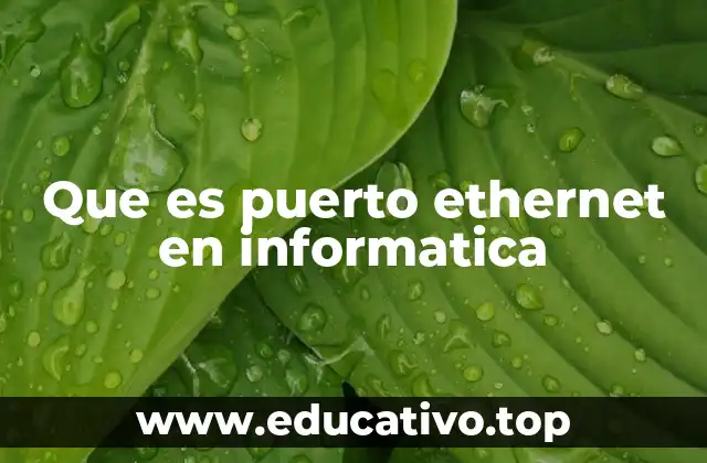 El papel del puerto Ethernet en la conectividad informática