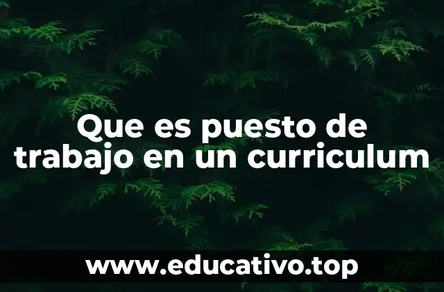 Que es puesto de trabajo en un curriculum