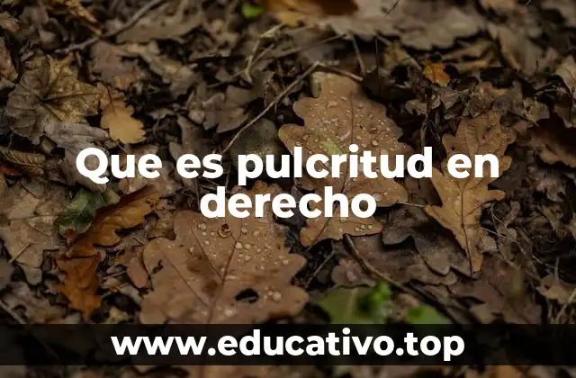 Que es pulcritud en derecho