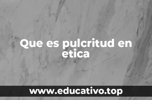 Que es pulcritud en etica
