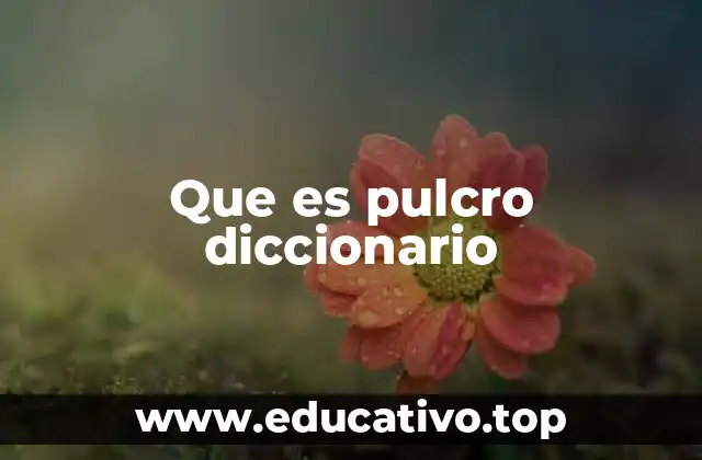 El uso de pulcro en contextos cotidianos