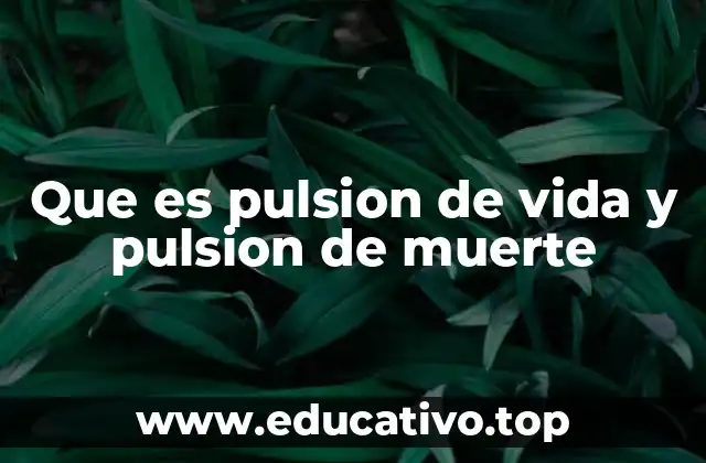Que es pulsion de vida y pulsion de muerte