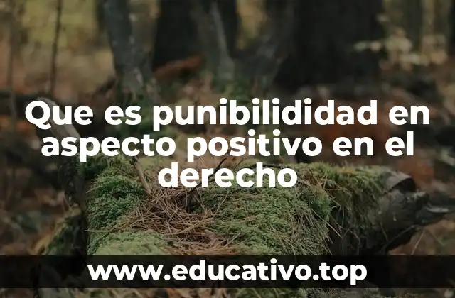 Que es punibilididad en aspecto positivo en el derecho