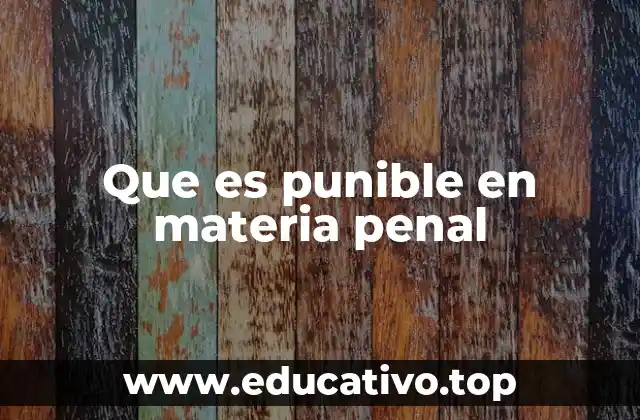 Que es punible en materia penal