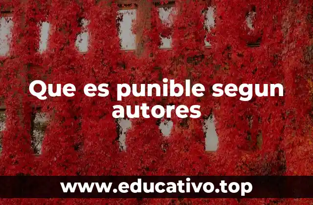 Que es punible segun autores