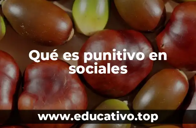 Qué es punitivo en sociales