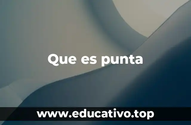 Que es punta