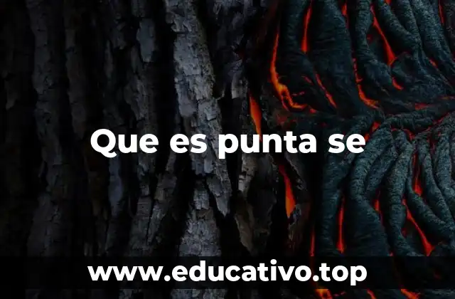 Que es punta se