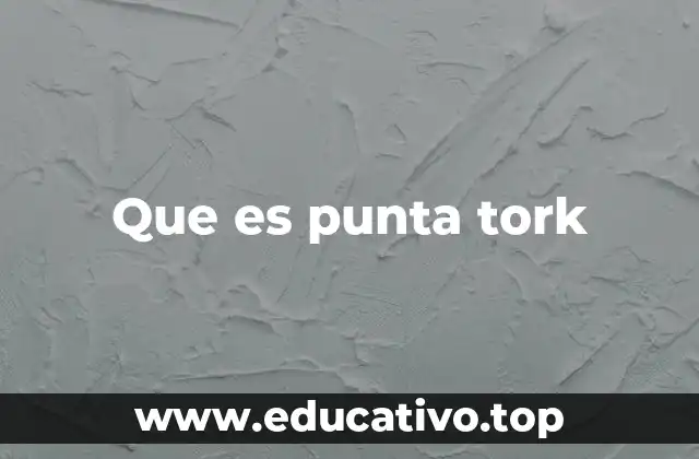Que es punta tork