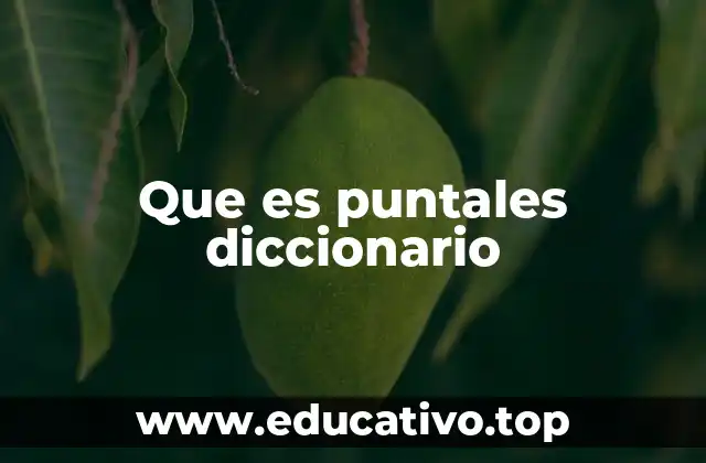 Que es puntales diccionario