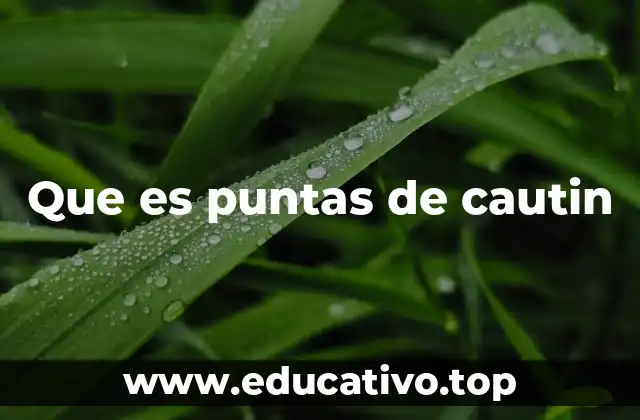 Que es puntas de cautin