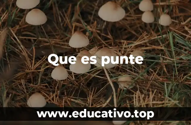 Que es punte