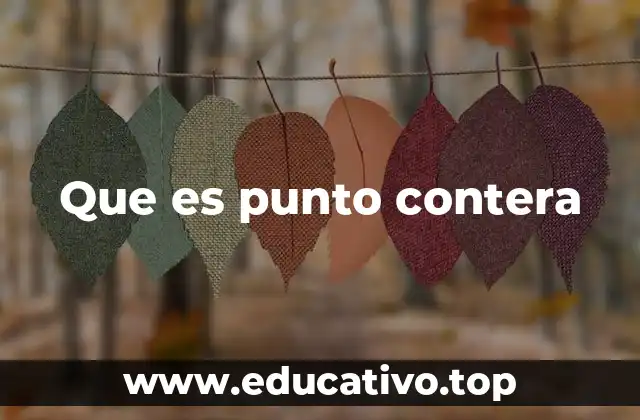 Que es punto contera