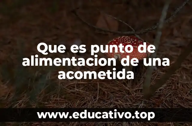 Que es punto de alimentacion de una acometida