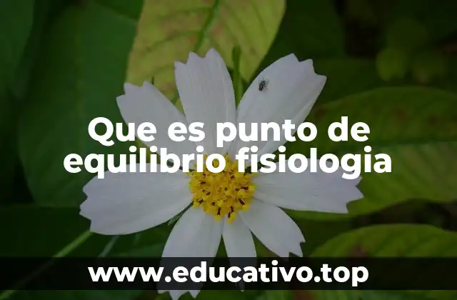 El umbral aeróbico y su importancia en la fisiología del ejercicio