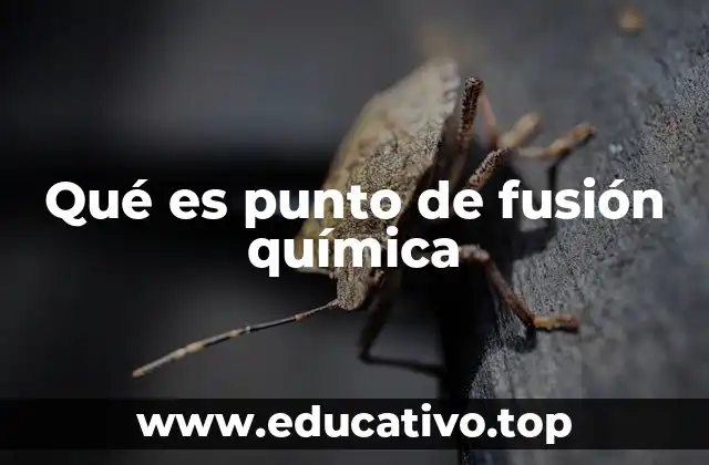 Qué es punto de fusión química