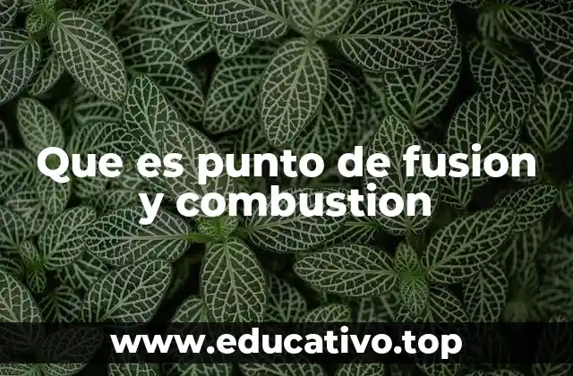 Que es punto de fusion y combustion