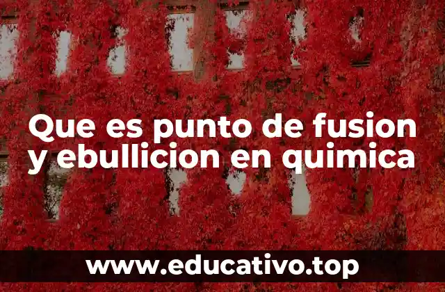 Que es punto de fusion y ebullicion en quimica