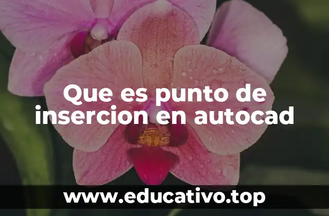 Que es punto de insercion en autocad
