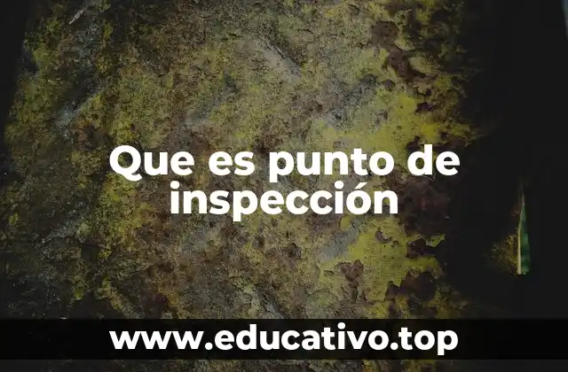 Que es punto de inspección