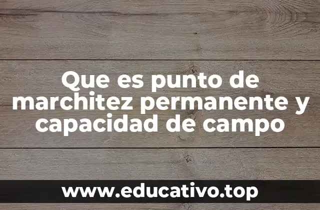 Que es punto de marchitez permanente y capacidad de campo