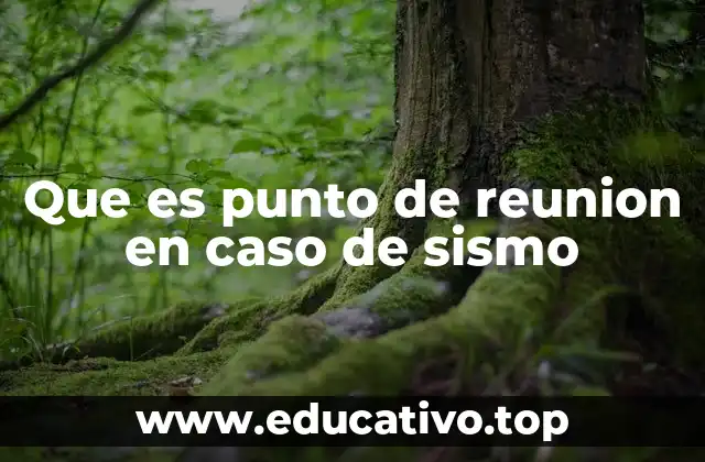 Que es punto de reunion en caso de sismo