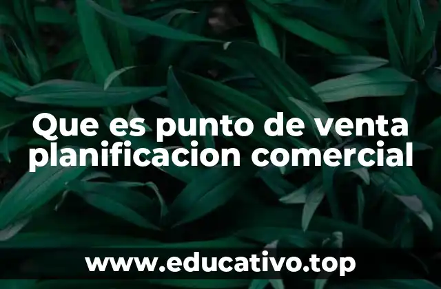 Que es punto de venta planificacion comercial