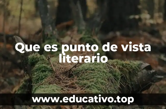 La importancia del punto de vista en la narrativa