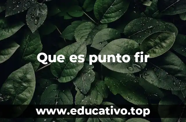 Que es punto fir