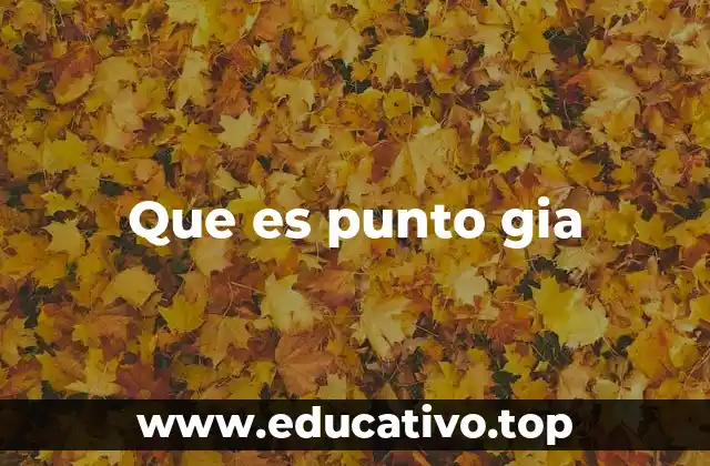 Que es punto gia
