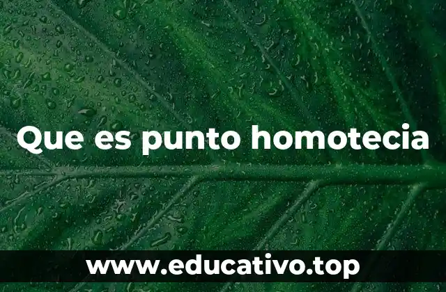 Que es punto homotecia