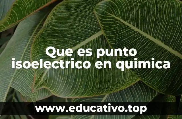 Que es punto isoelectrico en quimica