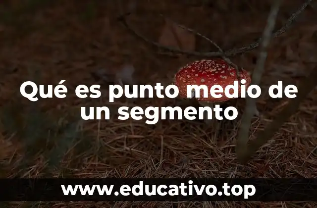 Qué es punto medio de un segmento